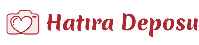 Sorgulamax logo